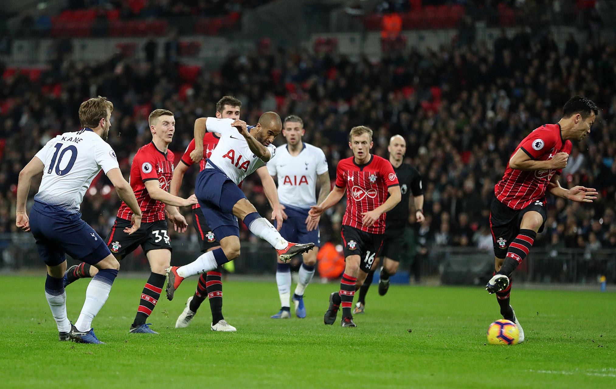 他们显得有 他们显得有